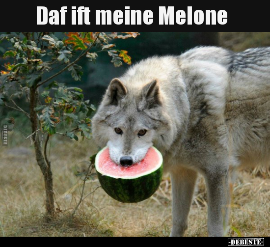 Daf ift meine Melone.. - Lustige Bilder | DEBESTE.de