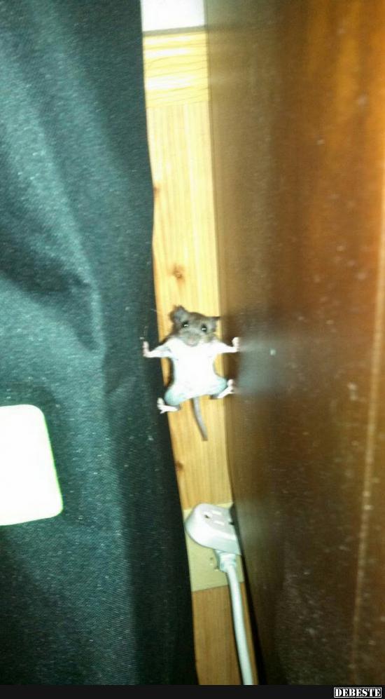 Shit ich wurde erwischt  :|