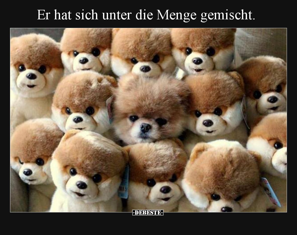 Er hat sich unter die Menge gemischt.