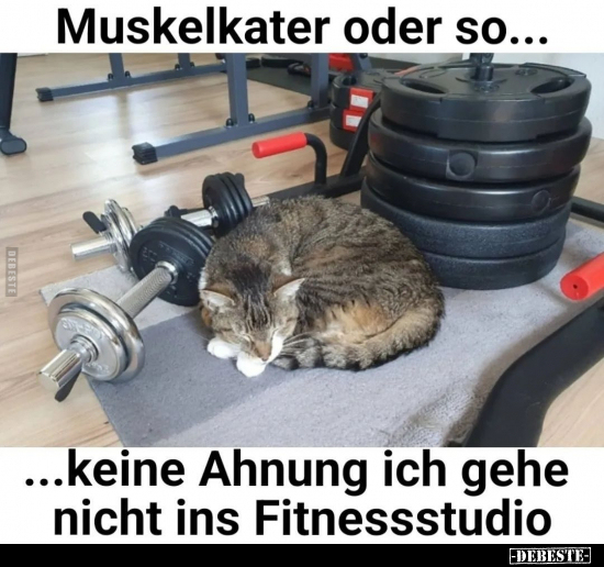 Muskelkater oder so... - Lustige Bilder | DEBESTE.de