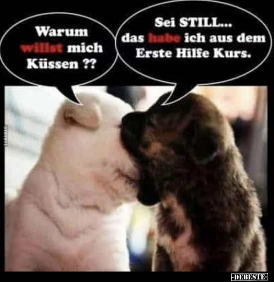 Warum willst mich Küssen??.. - Lustige Bilder | DEBESTE.de