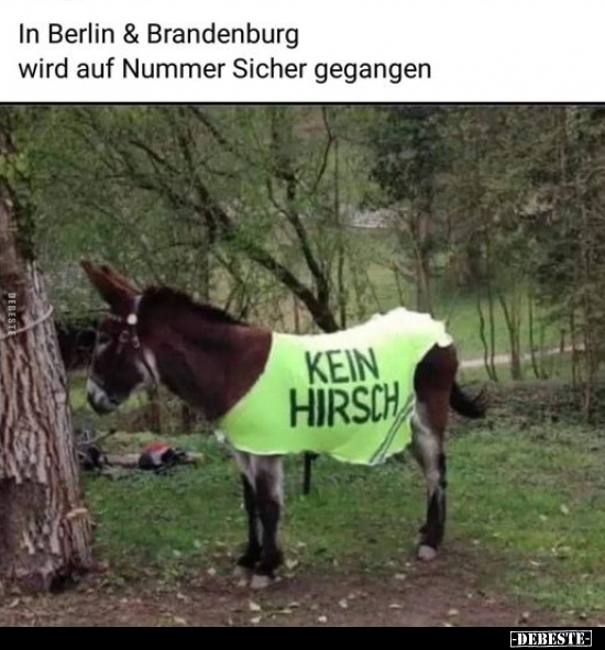 In Berlin & Brandenburg wird auf Nummer Sicher gegangen.. - Lustige Bilder | DEBESTE.de