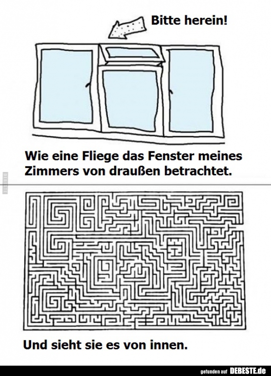 Wie eine Fliege das Fenster meines Zimmers..
