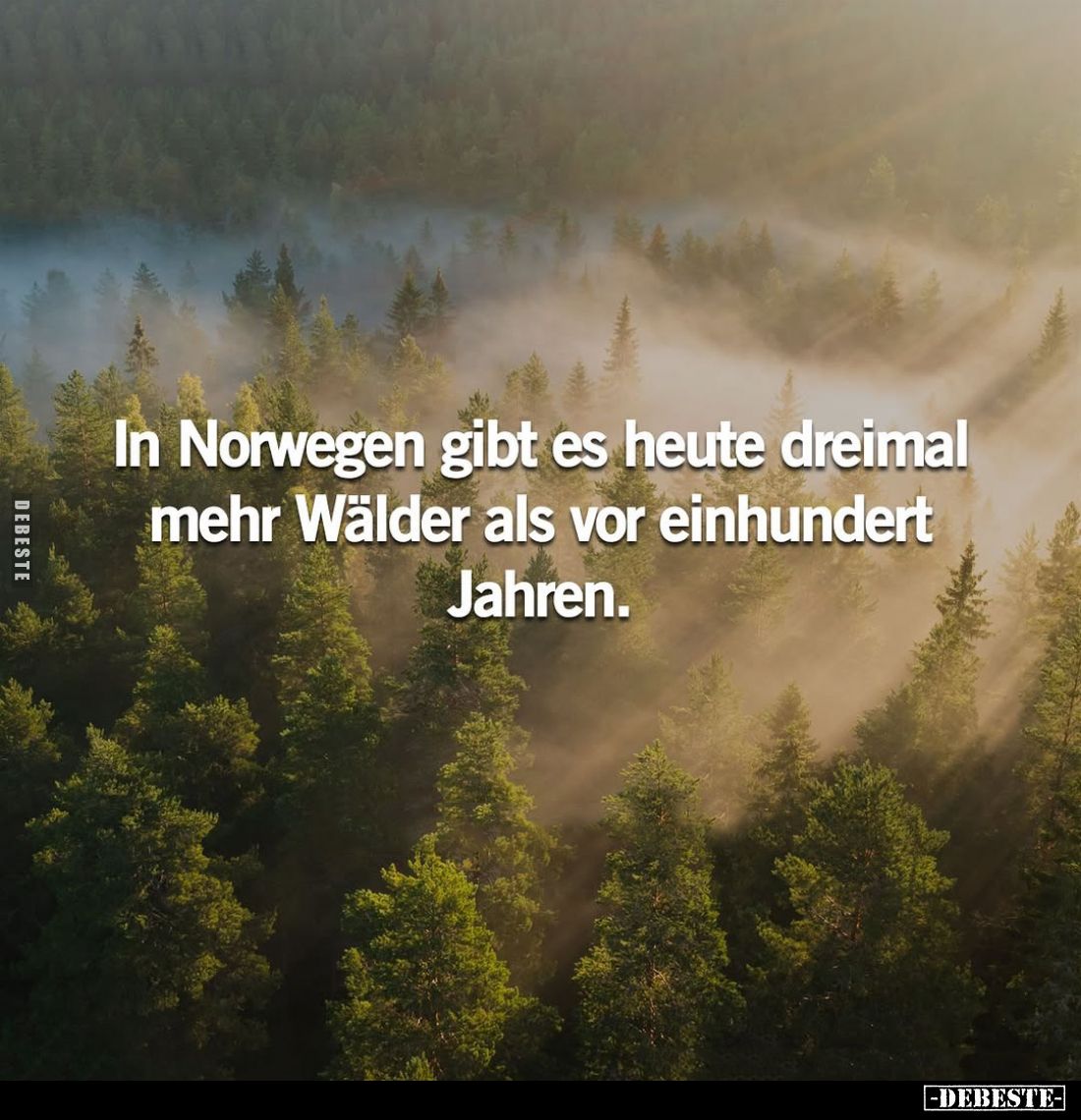 In Norwegen gibt es heute dreimal mehr Wälder... - Lustige Bilder | DEBESTE.de