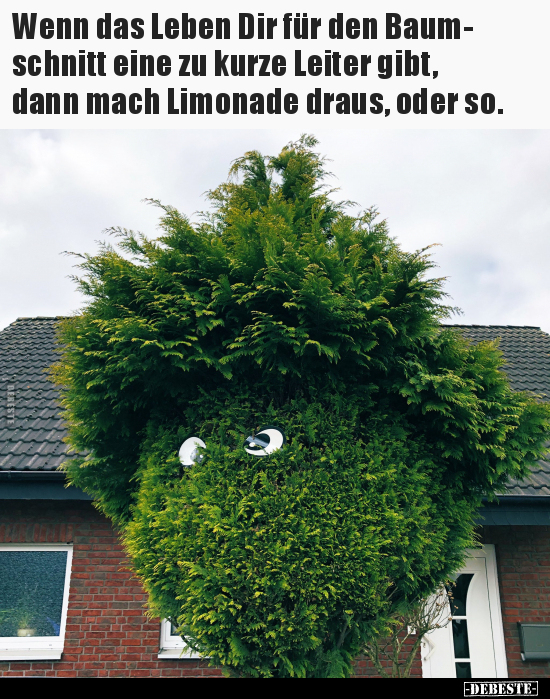 Wenn das Leben Dir für den Baumschnitt eine zu kurze..