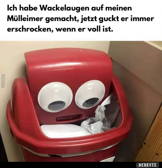 Ich habe Wackelaugen auf meinen Mülleimer gemacht, jetzt.. - Lustige Bilder | DEBESTE.de