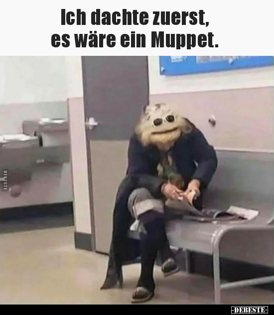 Ich dachte zuerst, es wäre ein Muppet... - Lustige Bilder | DEBESTE.de