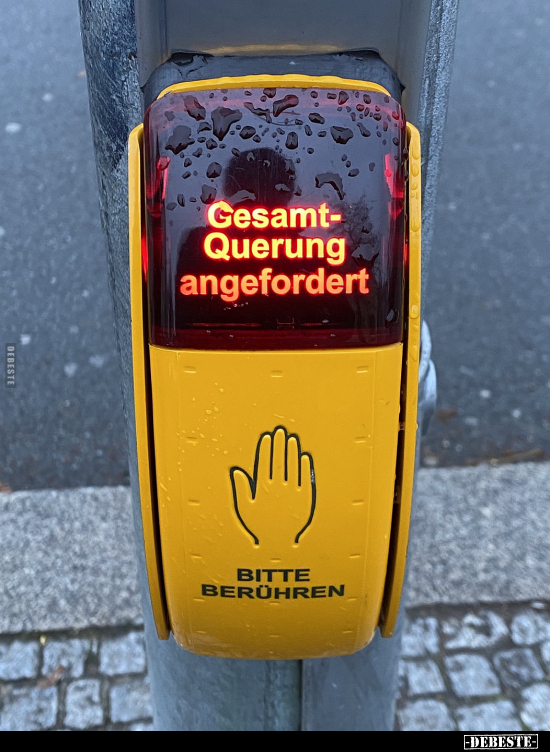Gesamt-Querung anageforder