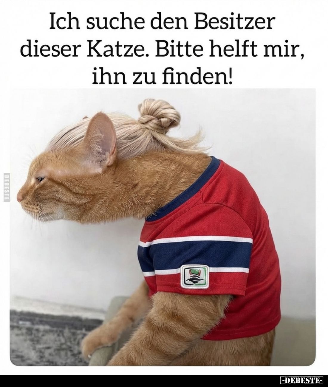 Ich suche den Besitzer dieser Katze. Bitte helft mir, ihn zu finden!