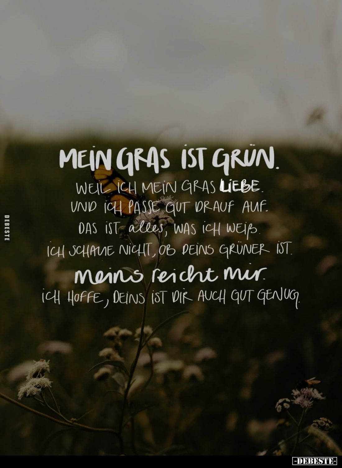 Mein Gras ist grün.
Weil ich mein Gras liebe.
Und ich passe gut drauf auf.
Das ist alles, was ich weiss.
Ich schaue nicht...