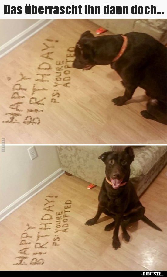 Das überrascht ihn dann doch...