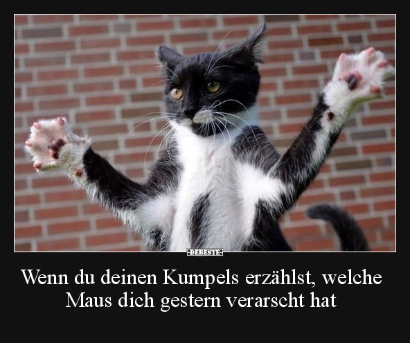 Wenn du deinen Kumpels erzählst, welche Maus dich gestern.. - Lustige Bilder | DEBESTE.de