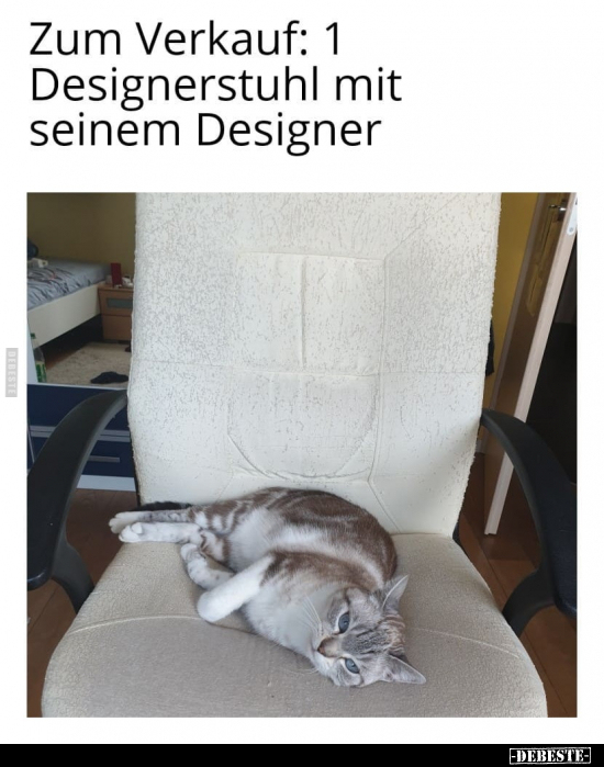 Zum Verkauf: 1 Designerstuhl mit seinem Designer.. - Lustige Bilder | DEBESTE.de