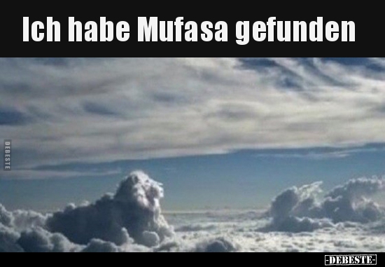 Ich habe Mufasa gefunden.. - Lustige Bilder | DEBESTE.de