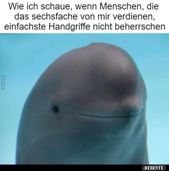 Wie ich schaue, wenn Menschen.. - Lustige Bilder | DEBESTE.de