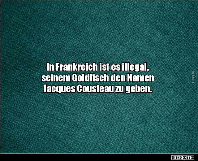 In Frankreich ist es illegal, seinem Goldfisch den Namen.. - Lustige Bilder | DEBESTE.de
