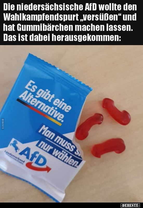 Die niedersächsische AfD wollte den Wahlkampfendspurt.. - Lustige Bilder | DEBESTE.de