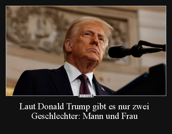 Mann, Mann Und Frau, Frau