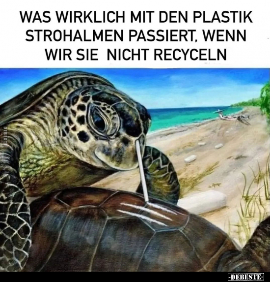Was wirklich mit den Plastik Strohalmen passiert.. - Lustige Bilder | DEBESTE.de