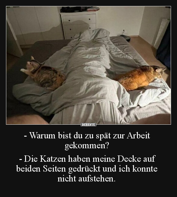 - Warum bist du zu spät zur Arbeit gekommen?.. - Lustige Bilder | DEBESTE.de