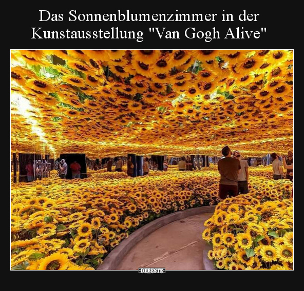 Das Sonnenblumenzimmer in der Kunstausstellung "Van Gogh.." - Lustige Bilder | DEBESTE.de