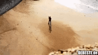  - Lustige Bilder | DEBESTE.de