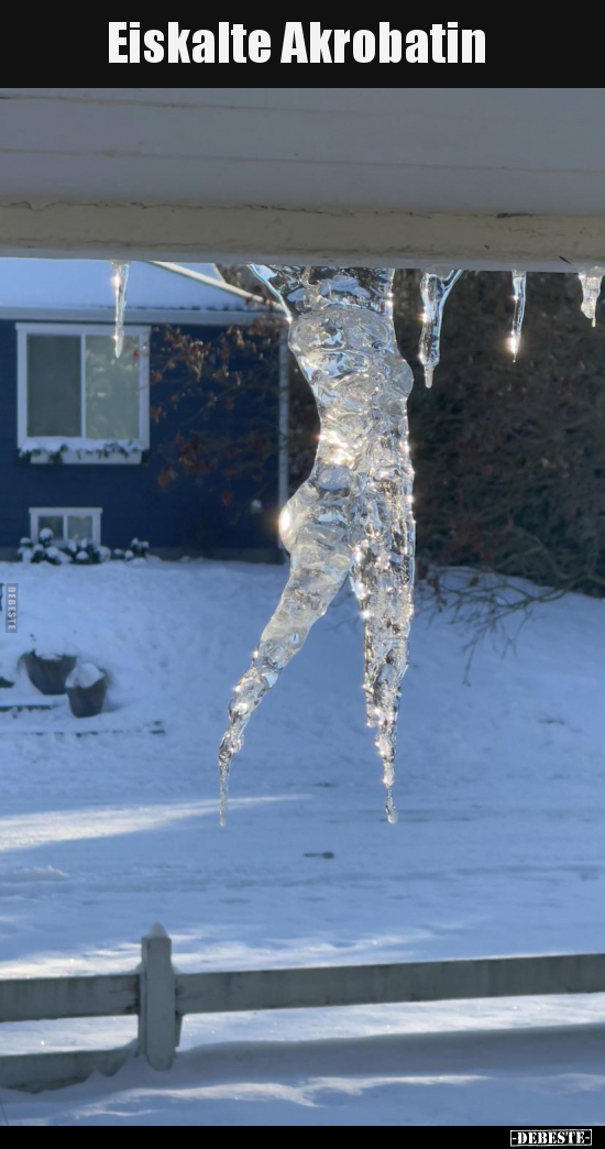 Eiskalte Akrobatin.. - Lustige Bilder | DEBESTE.de