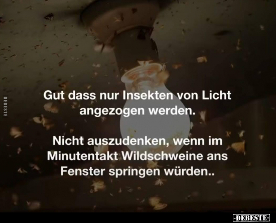 Gut dass nur Insekten von Licht angezogen werden... - Lustige Bilder | DEBESTE.de