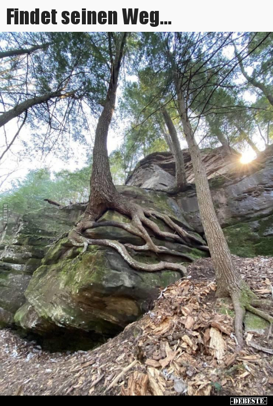Findet seinen Weg