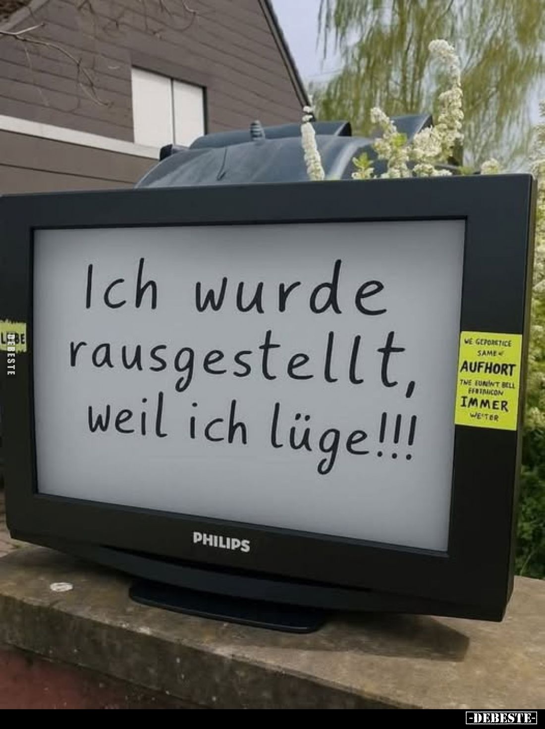 Ich wurde rausgestellt, weil ich lüge!!!