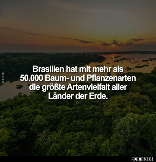 Brasilien hat mit mehr als 50.000 Baum.. - Lustige Bilder | DEBESTE.de