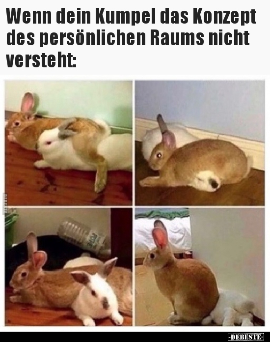 Wenn dein Kumpel das Konzept des persönlichen Raums nicht..