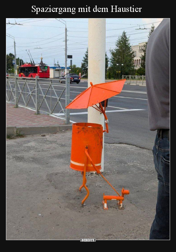 Spaziergang mit dem Haustier.. - Lustige Bilder | DEBESTE.de