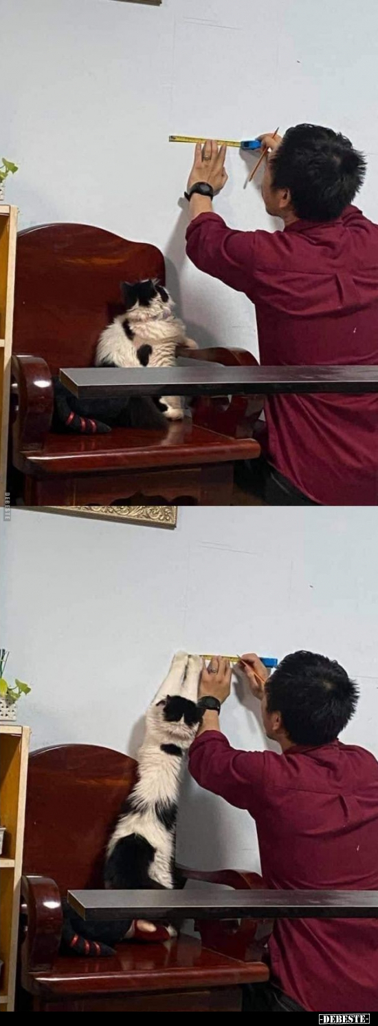  - Lustige Bilder | DEBESTE.de