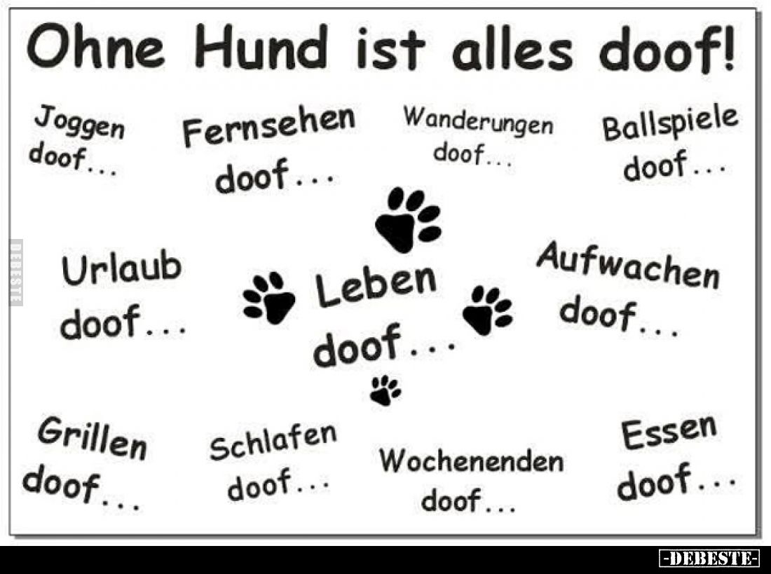 Ohne Hund ist alles doof!
Joggen doof...
Fernsehen doof...
Wanderungen doof...
Ballspiele doof...
Urlaub doof...
Leben ...