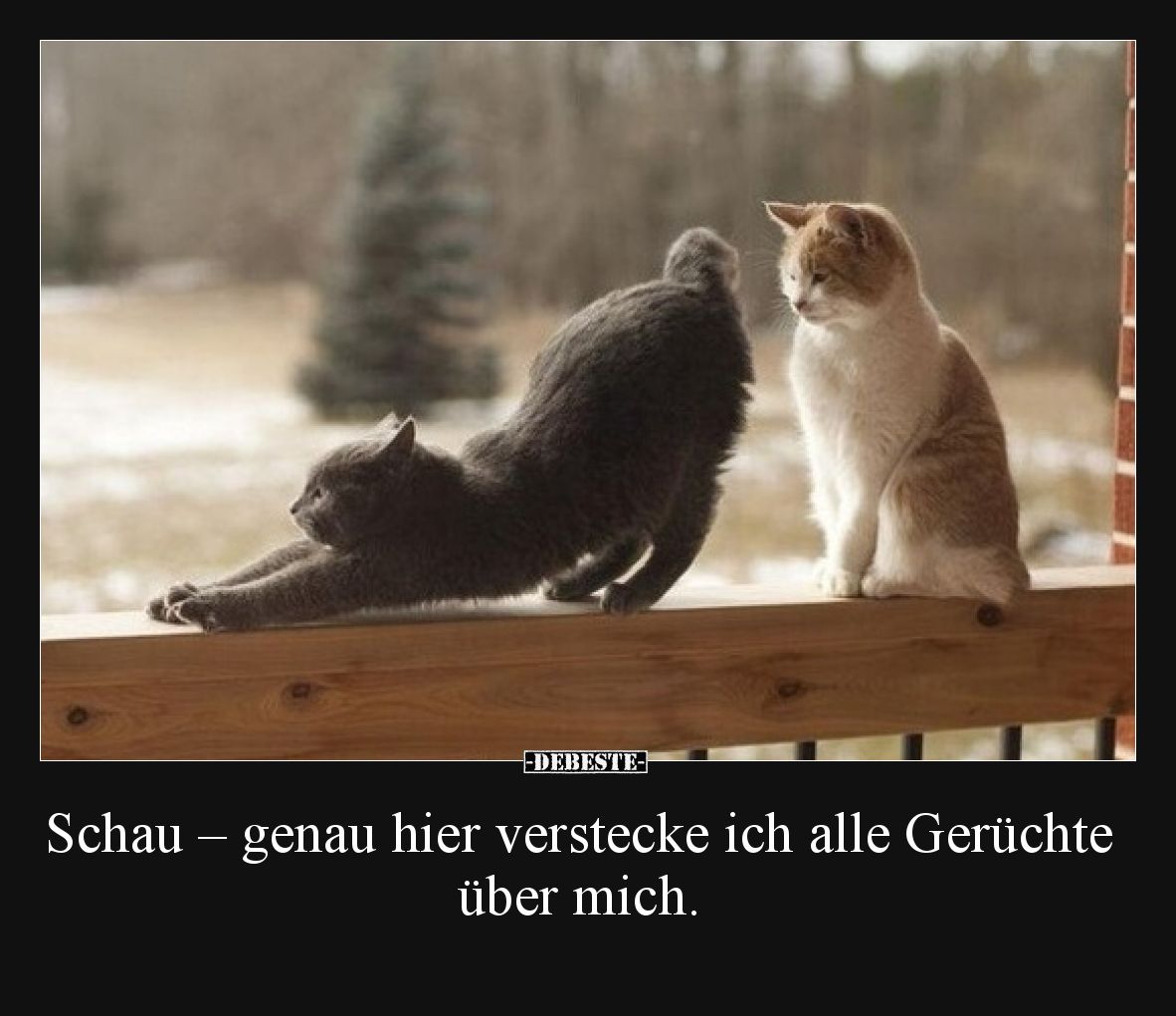 Schau – genau hier verstecke ich alle Gerüchte über mich.