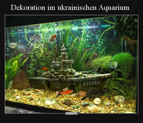 Dekoration im ukrainischen Aquarium.. - Lustige Bilder | DEBESTE.de