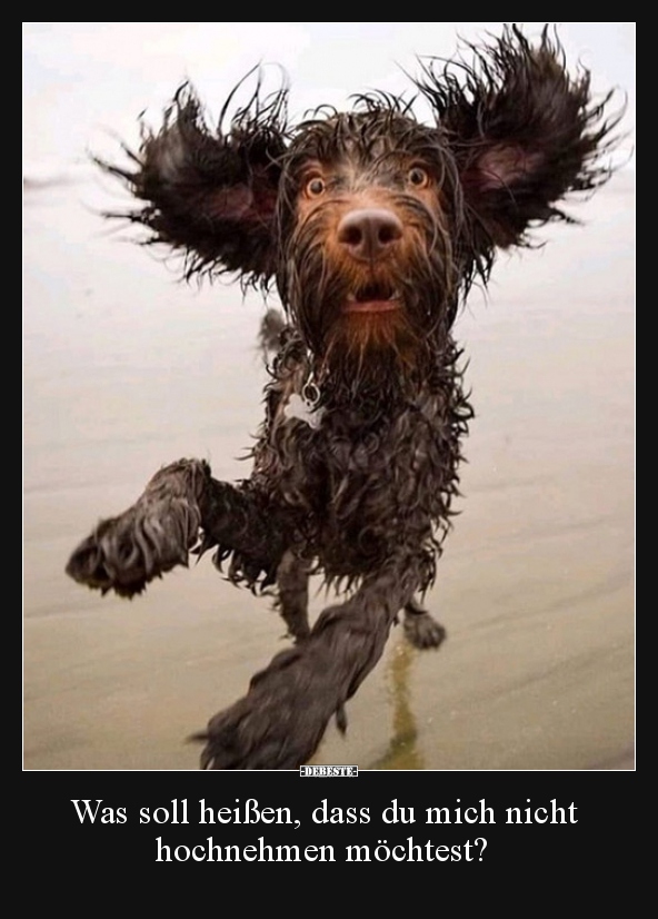 Was soll heißen, dass du mich nicht hochnehmen möchtest?..