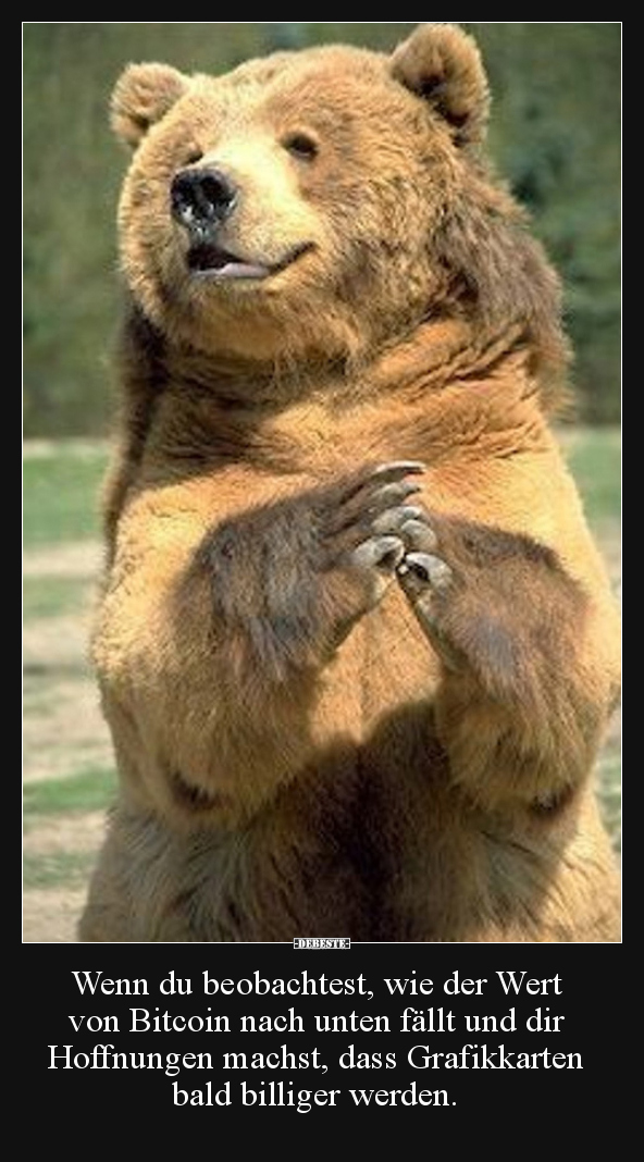 Wenn du beobachtest, wie der Wert von Bitcoin nach unten..