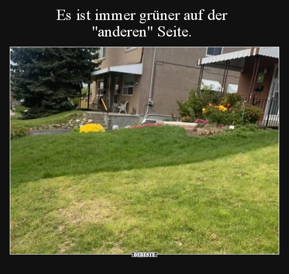 Es ist immer grüner auf der "anderen" Seite...