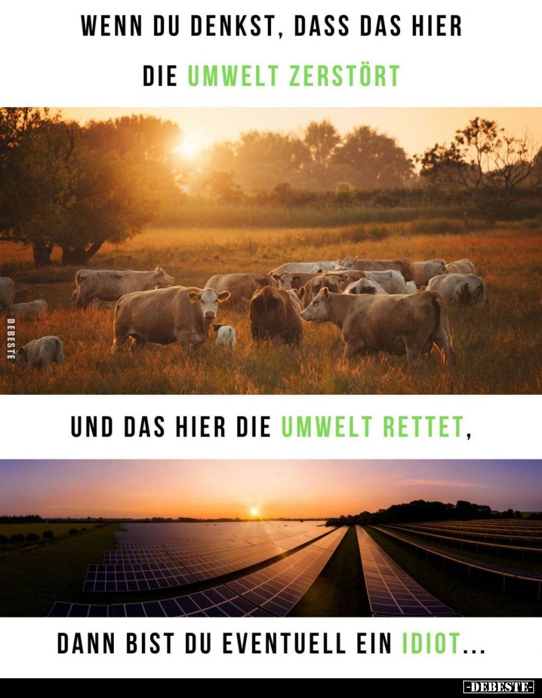 Wenn du denkst, dass das hier
die Umwelt zerstört
und das hier die Umwelt rettet,
dann bist du eventuell ein Idiot...