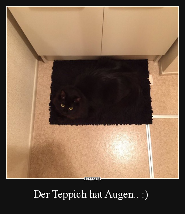 Der Teppich hat Augen.. :) - Lustige Bilder | DEBESTE.de