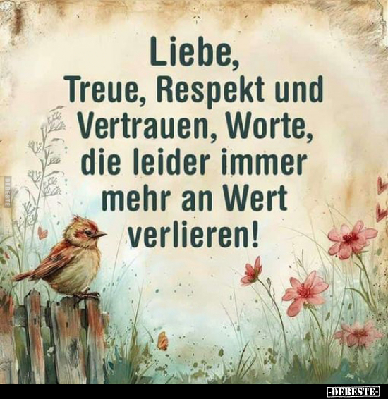 Liebe, Treue, Respekt und Vertrauen.. - Lustige Bilder | DEBESTE.de