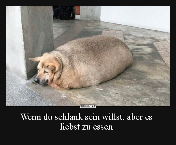 Wenn du schlank sein willst, aber es liebst zu essen.. - Lustige Bilder | DEBESTE.de