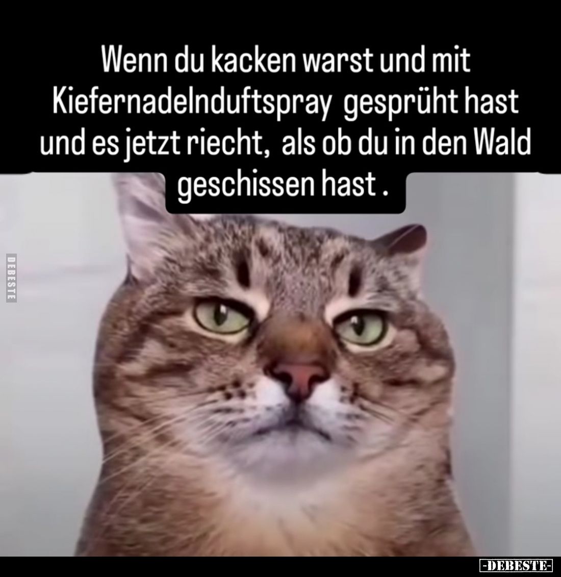 Wenn du kacken warst und mit Kiefernadelnduftspray gesprüht hast und es jetzt riecht, als ob du in den Wald geschissen hast.