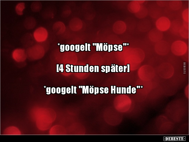 *googelt "Möpse"* [4 Stunden später]*googelt "Möpse.. - Lustige Bilder | DEBESTE.de