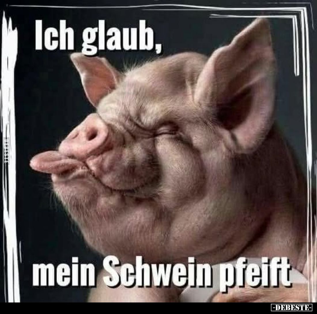 Ich glaub,
mein Schwein pfeift