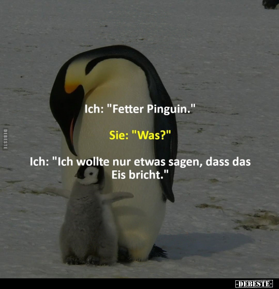 Ich: "Fetter Pinguin." Sie: "Was?".. - Lustige Bilder | DEBESTE.de