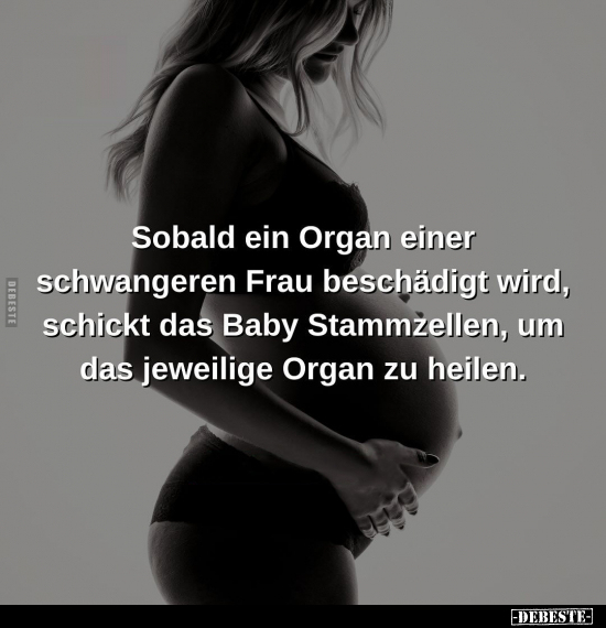 Sobald ein Organ einer schwangeren Frau beschädigt wird.. - Lustige Bilder | DEBESTE.de