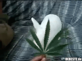 Das habe ich nicht erwartet..